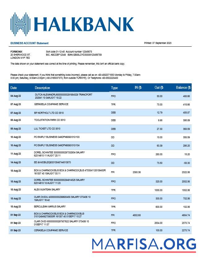 Downloadable Halkbank business statement Word and PDF template